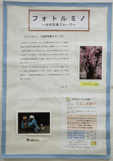 フォトルミノ