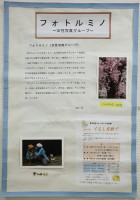 フォトルミノ